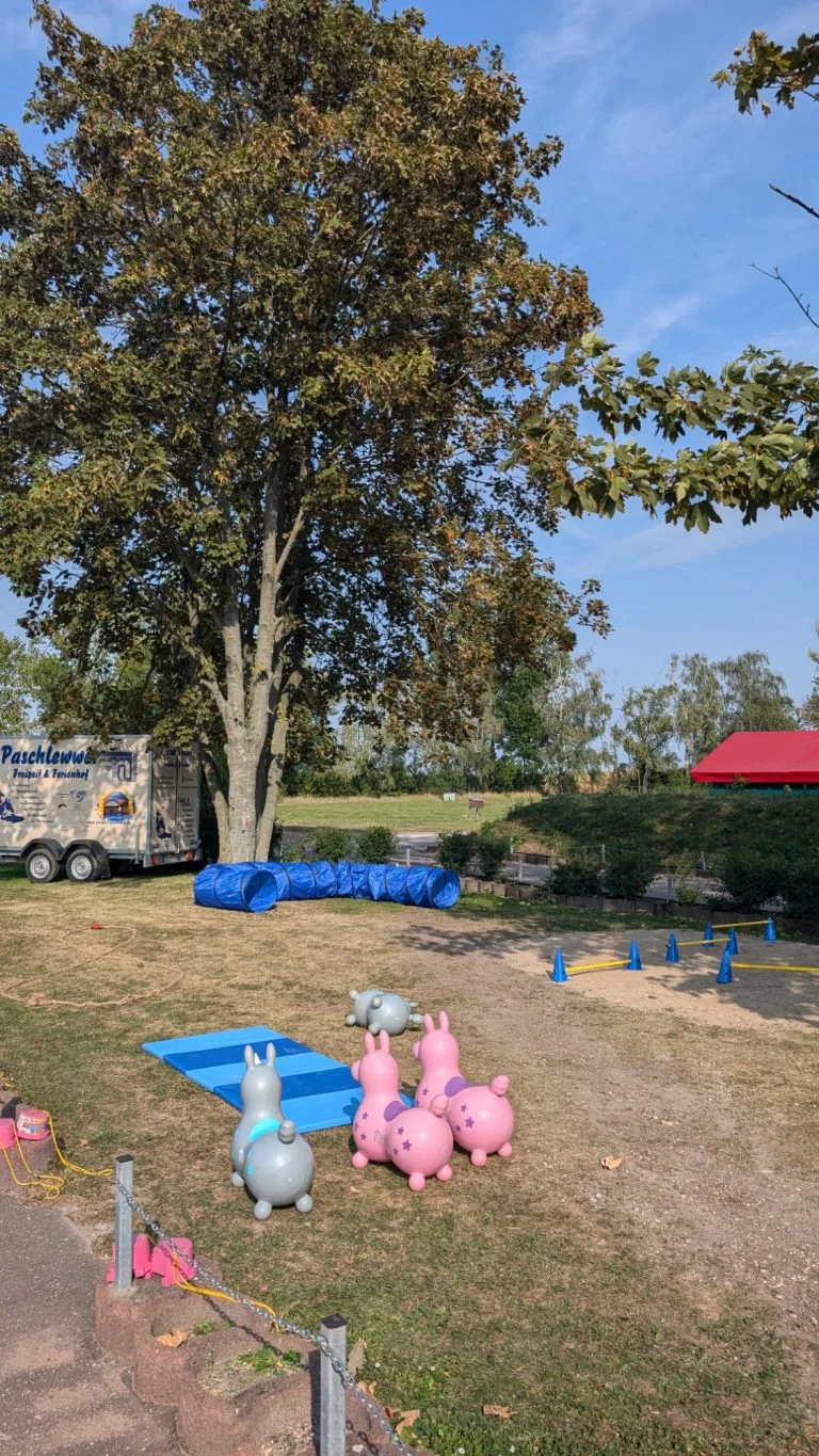 Hochzeit mit über 30 Kindern in Sachsen-Anhalt – Eindruck 18 von 20